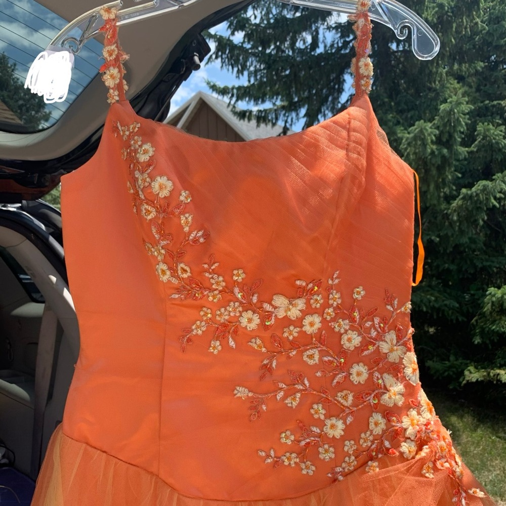 Orange Prom Dress Size 10 Altered